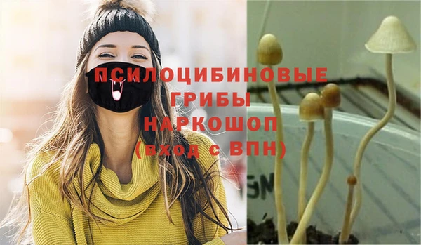 стаф Беломорск