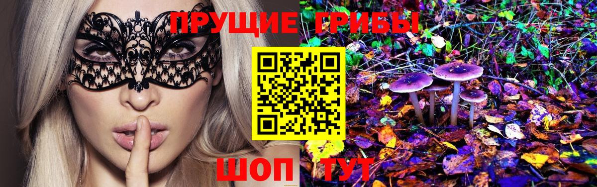 Псилоцибиновые грибы Psilocybe  Вход с VPN  цены   Гусев 