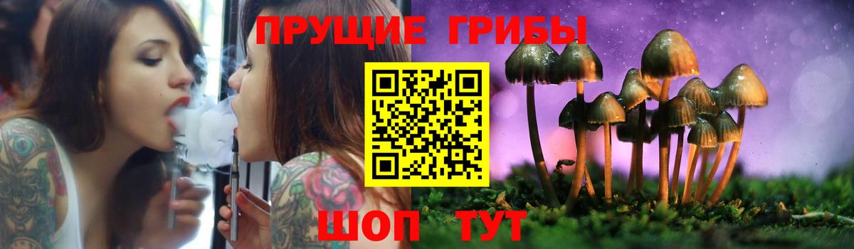 Псилоцибиновые грибы Psilocybe Гусев