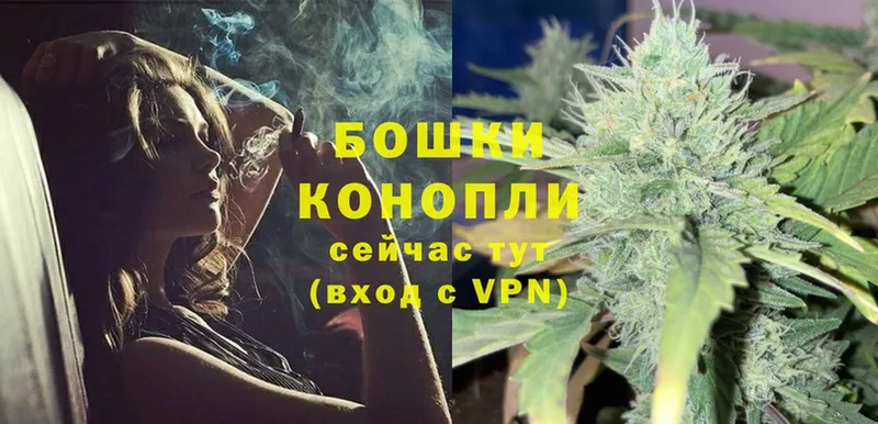 Марихуана White Widow  Гусев 