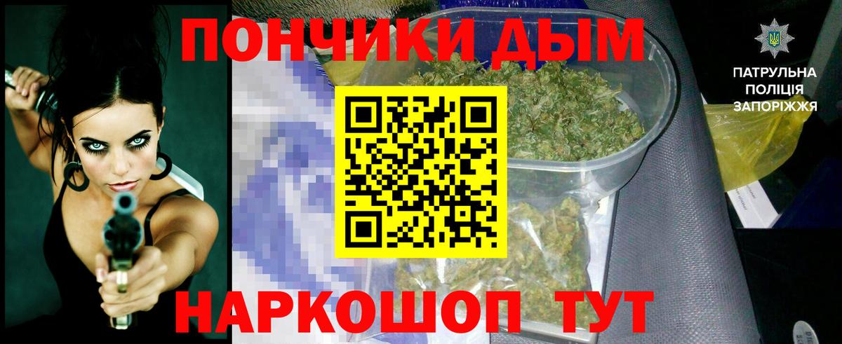 Конопля индика Гусев